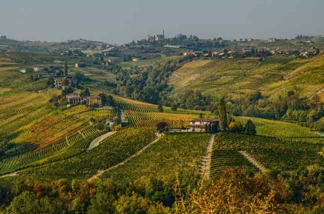 Colori dell'autunno nel panorama dei vigneti del Monferrato