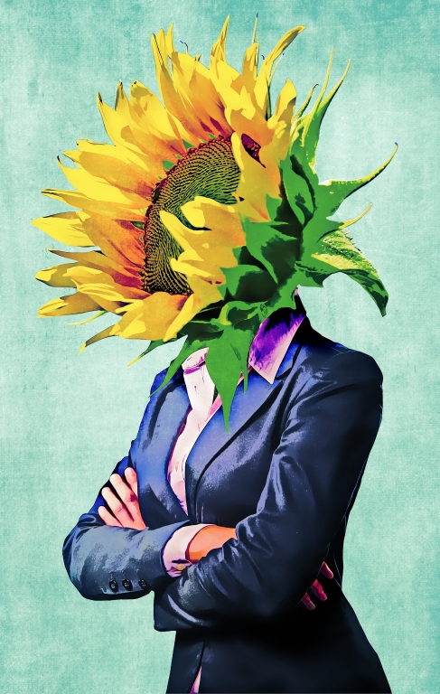 Girasole