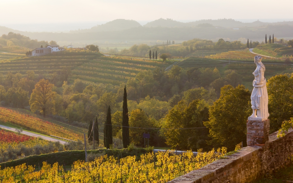 Contemplo il Collio