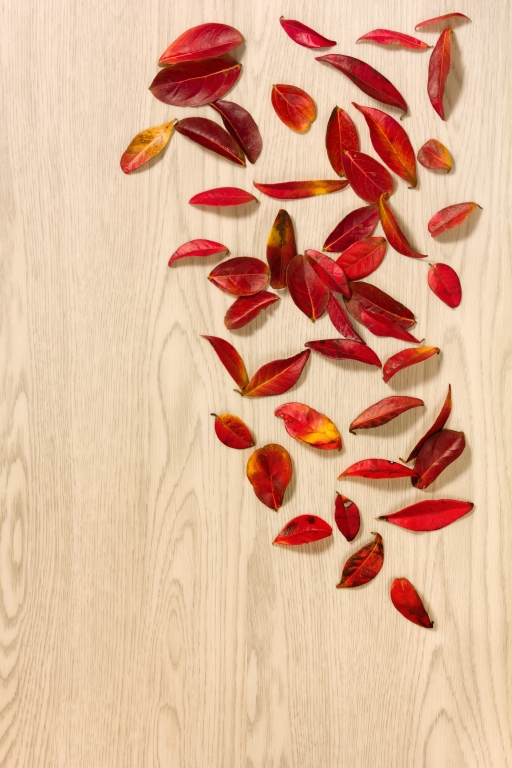 Autunno