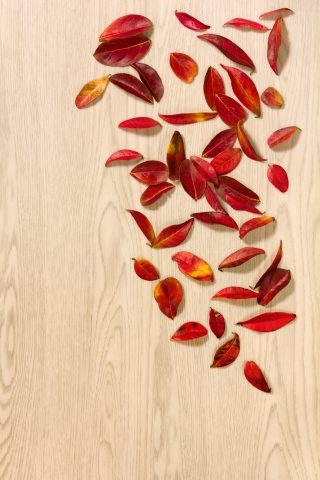 Autunno
