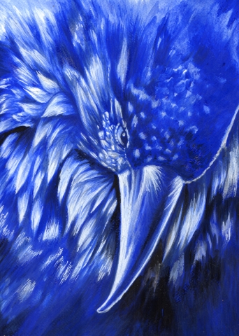 Blue Raven