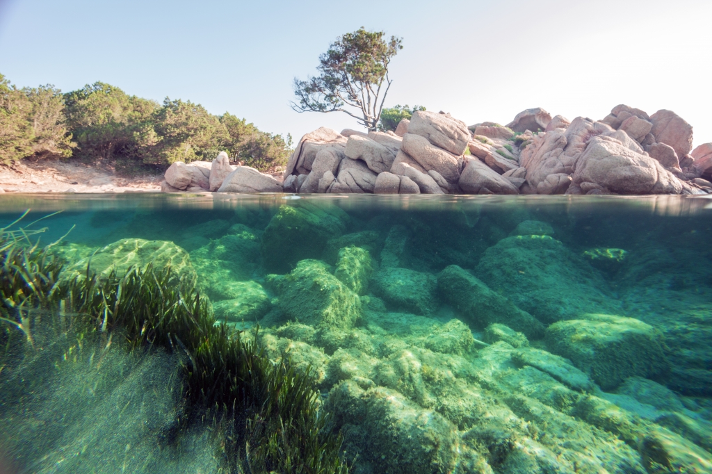 Sottosopra di un mare fantastico della Sardegna