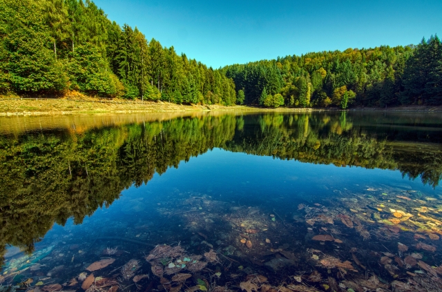 Caleidoscopio di colori autunnali : Il lago di Meugliano ,Italia.