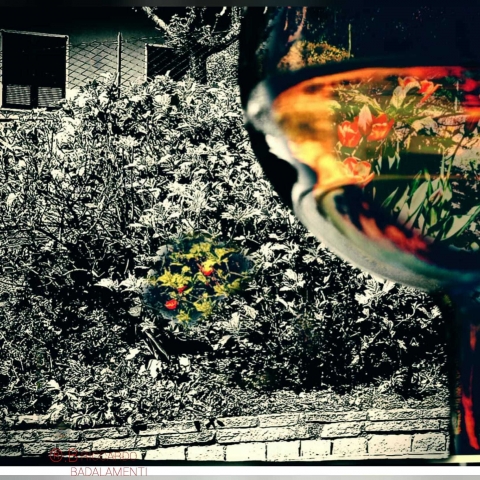 Attimi sospesi in colori