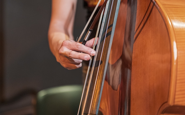 Il contrabbasso pizzicato