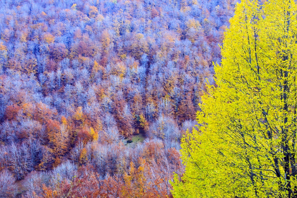 Paesaggio abruzzese autunnale, colori stupendi