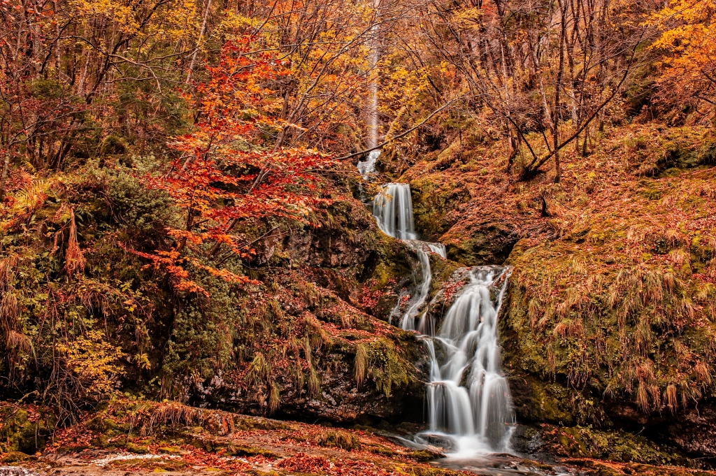 Bosco in autunno, con cascata.