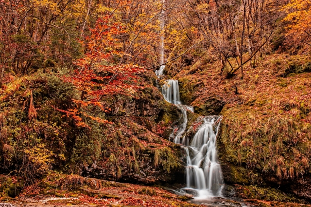 Bosco in autunno, con cascata.