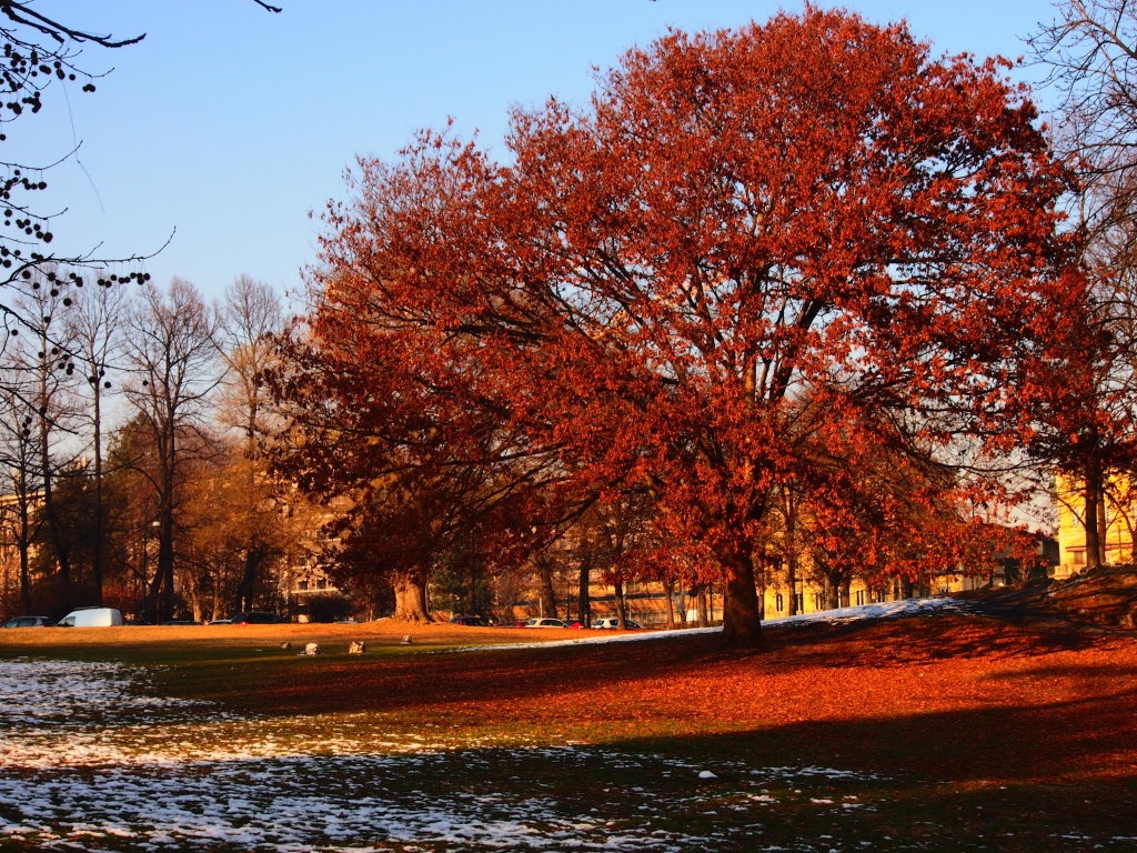 autunno a Torino