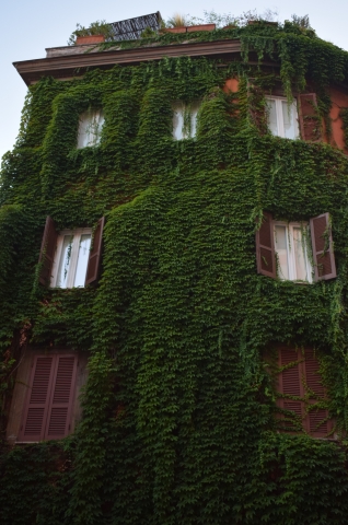 Green building
