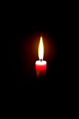 candela 2019