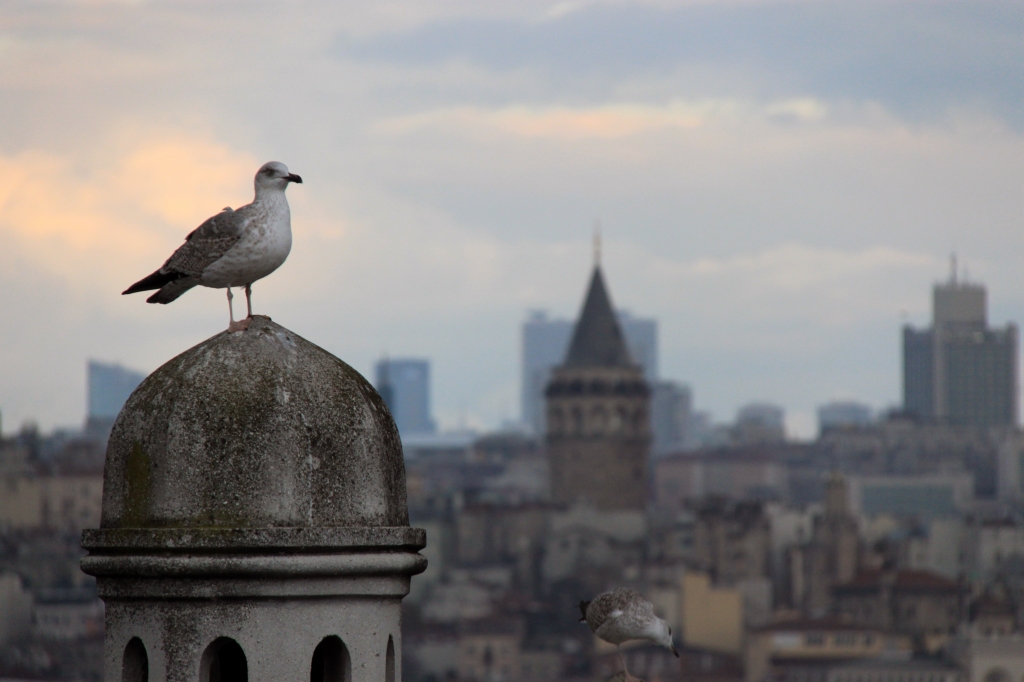 La vista migliore