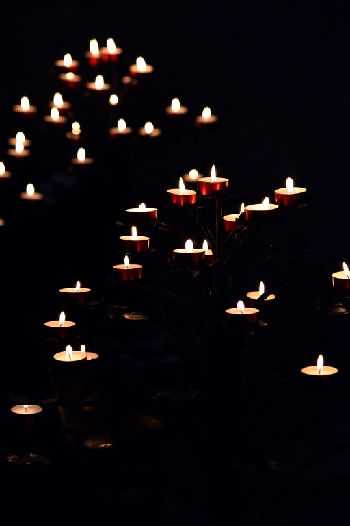 Tenui luci nel buio