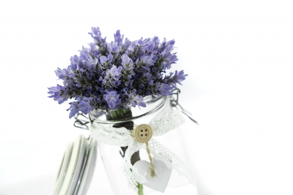 Lavanda