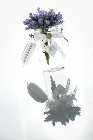 Lavanda