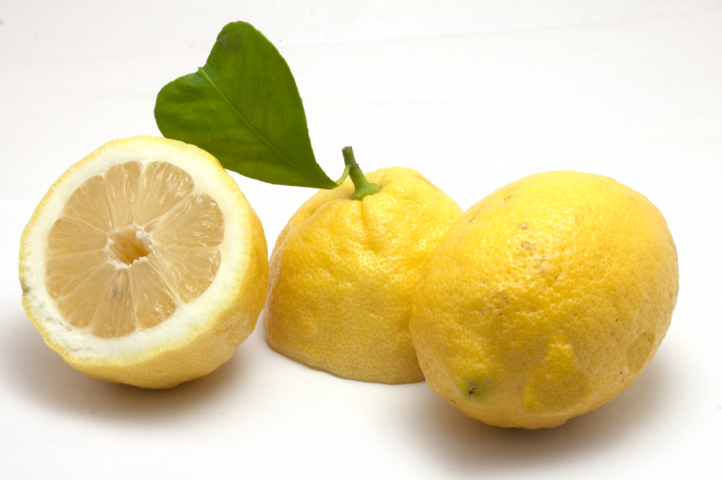 limone con foglia a cuore