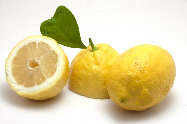 limone con foglia a cuore