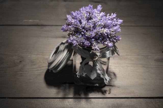 Lavanda