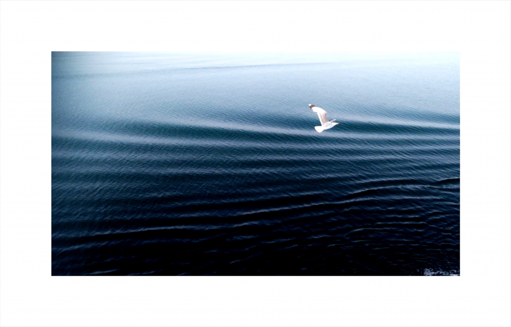 Blu Sea