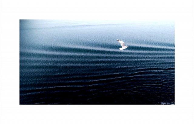 Blu Sea