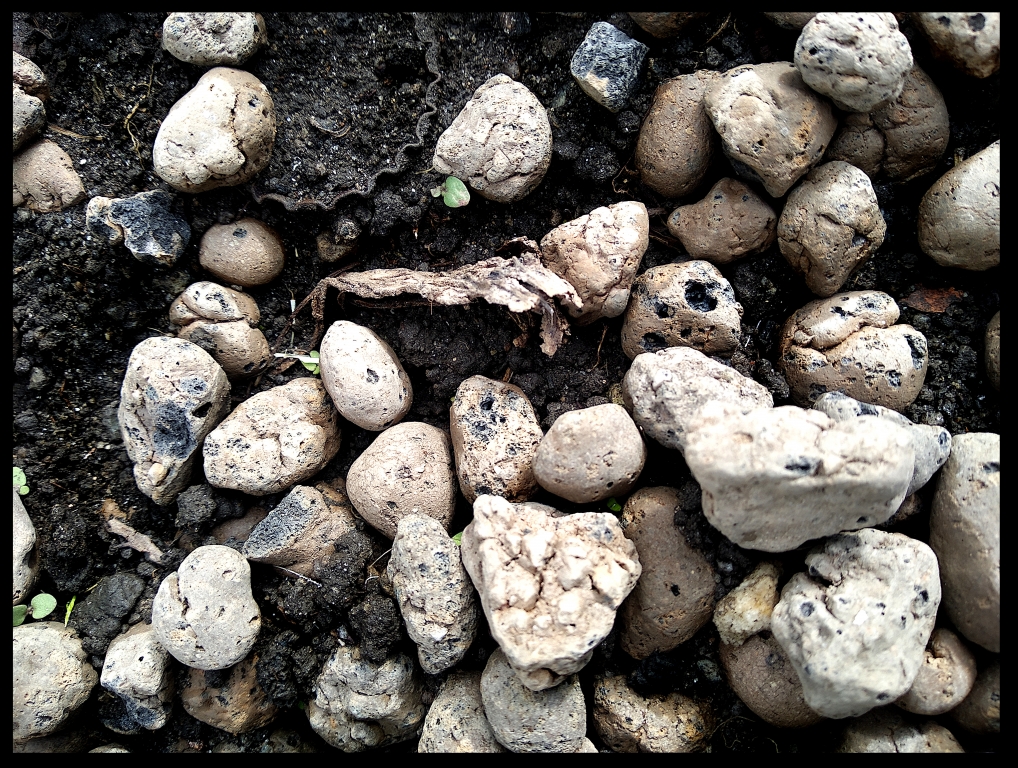 Stone