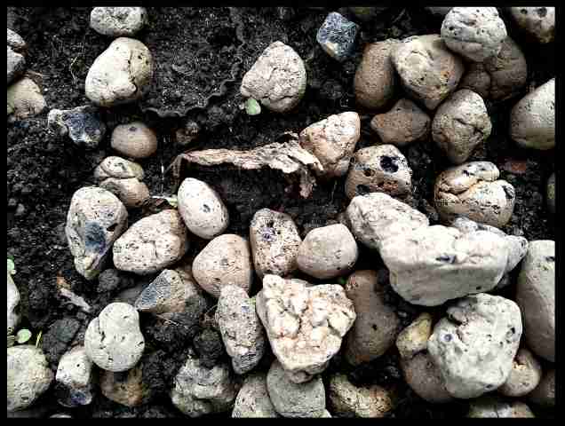 Stone