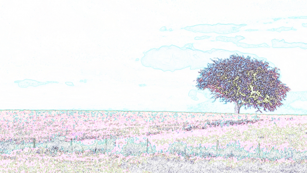 Outline of flowering tree