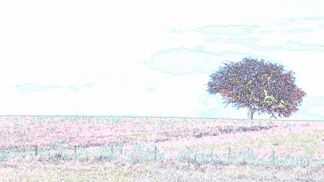 Outline of flowering tree