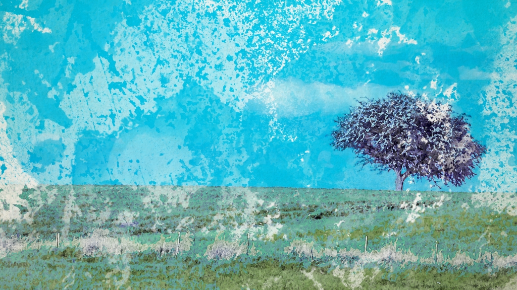 Watercoloro of an isolated flowering tree