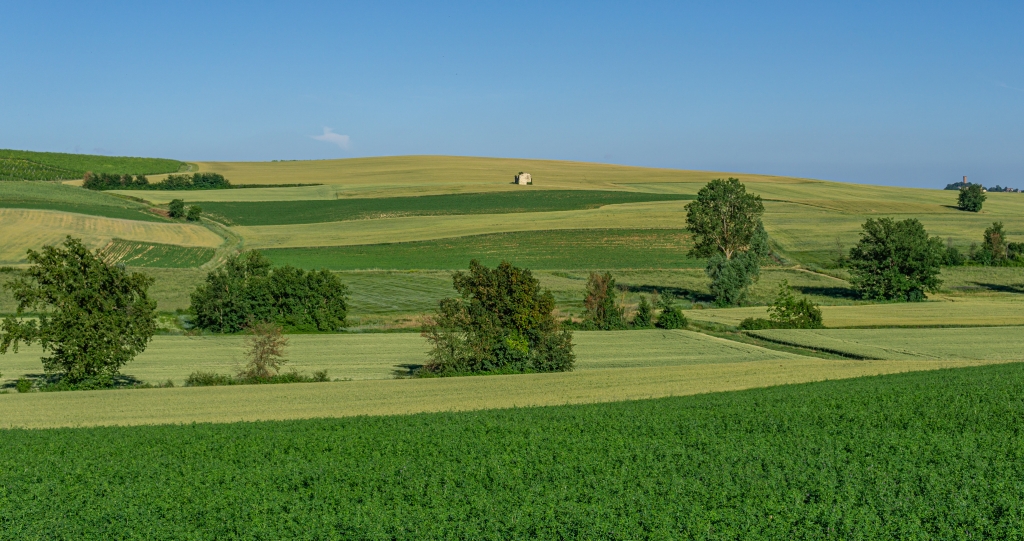 Verdi colline nel Monferrato
