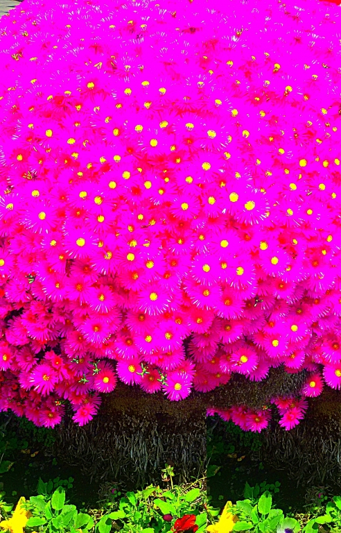 Il colore per l'incanto n.2