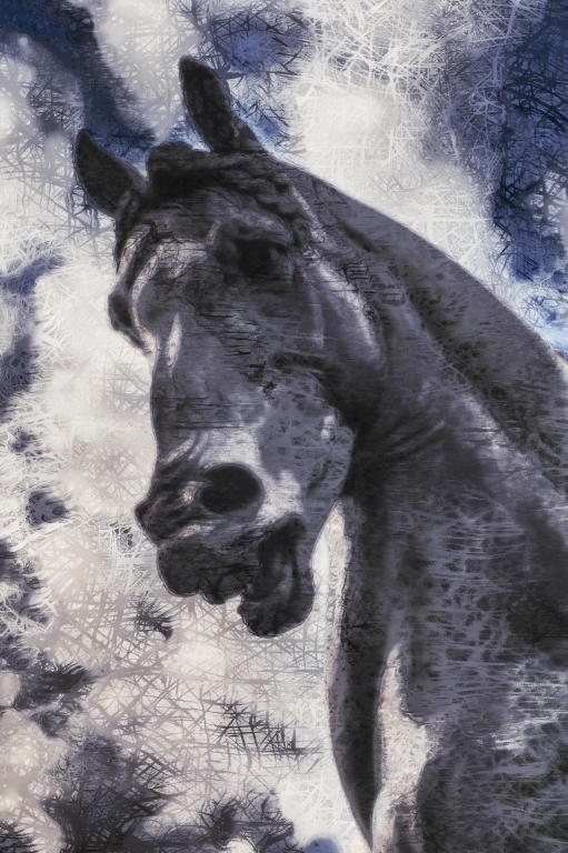 Il Cavallo di Leonardo _ Digital Art