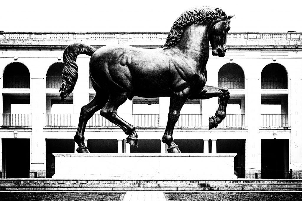 Il Cavallo di Leonardo _ Bianco e Nero