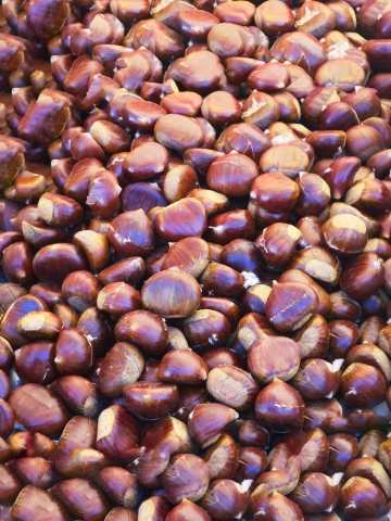 castagne