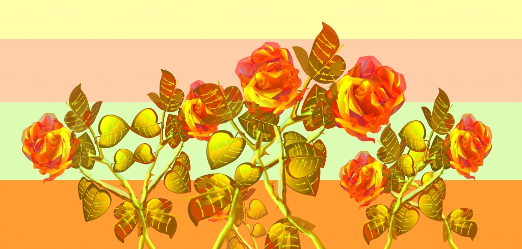 Rose