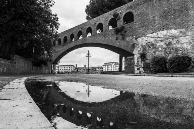 Arco riflesso