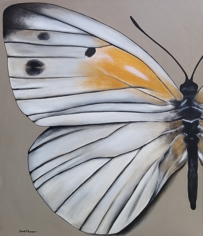 Farfalla
