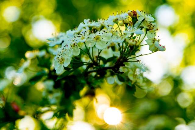 Calore e primavera