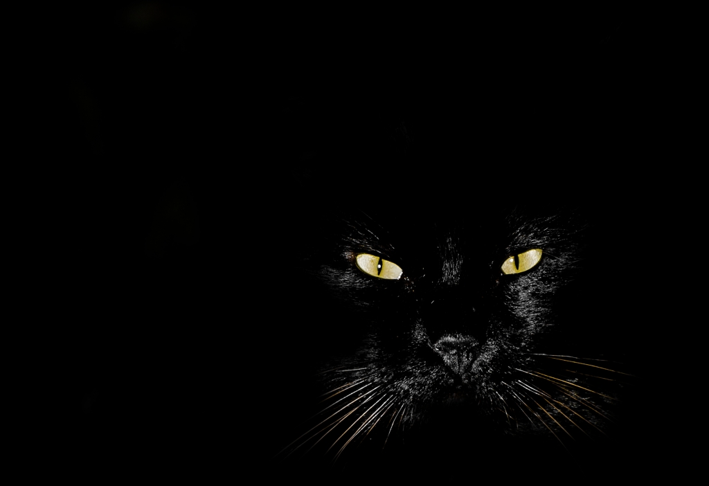 occhi nelle tenebre