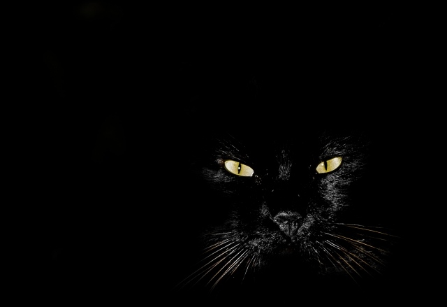 occhi nelle tenebre