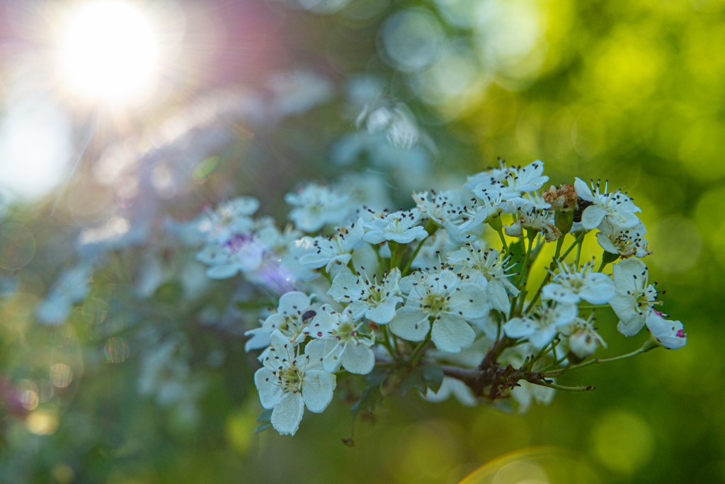 Aria di primavera
