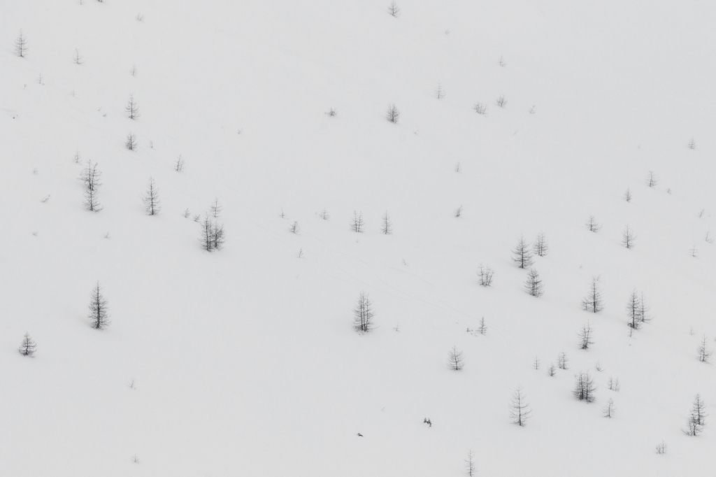 Inverno Minimale