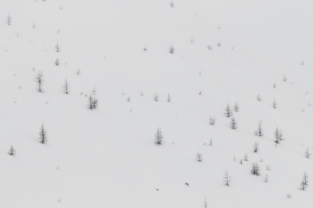 Inverno Minimale