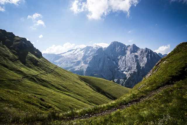 MARMOLADA