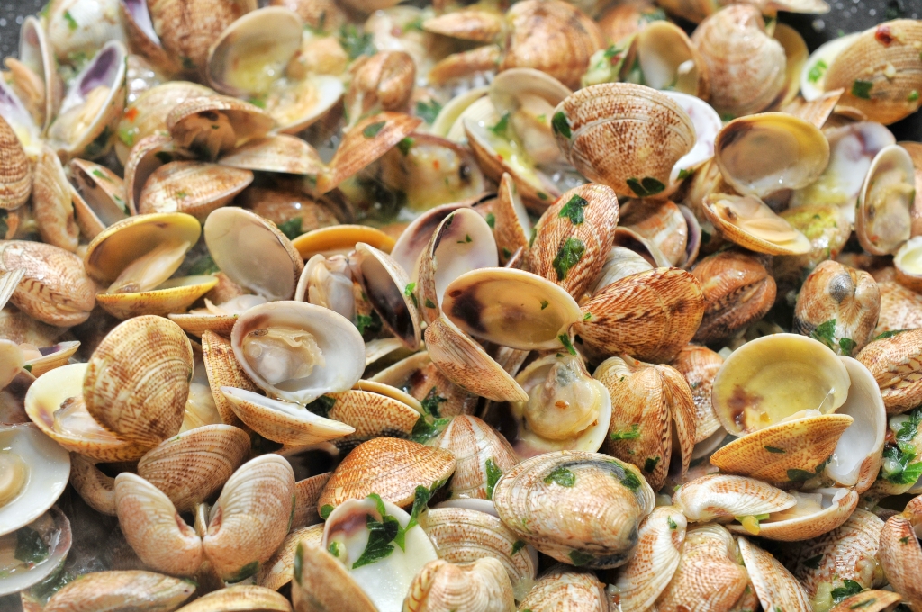 Vongole