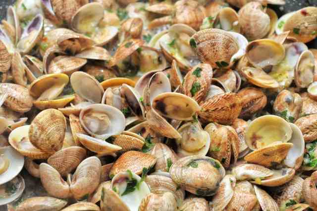 Vongole