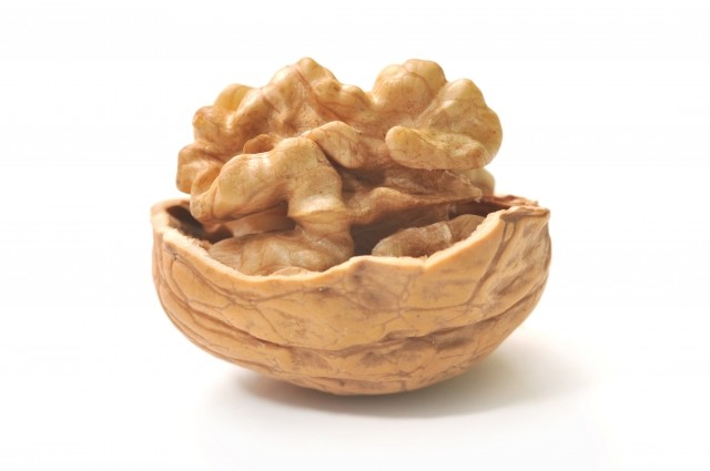 Guscio di noce