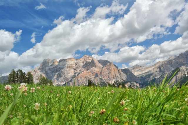 Dolomiti