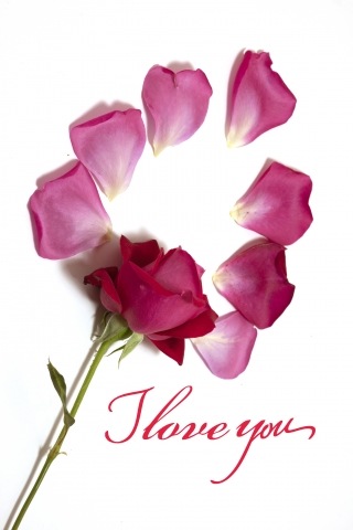 ti amo